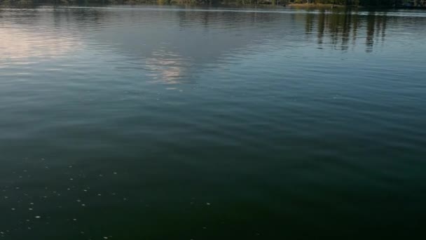 The reflection of the trees on the water in Lake Kawaguchi in Japan — Stock Video