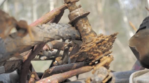 Closeup shot of a pile of rubbish in a forest. — Stok video