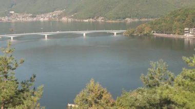 Japonya 'daki Kawaguchiko Tenjozan Parkı' nda gölün kenarındaki ağaçlar.