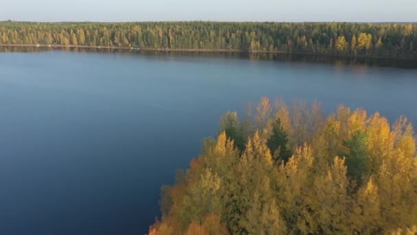 A vista aérea do Lago Saimaa com as árvores de cor dourada na ilha. — Vídeo de Stock