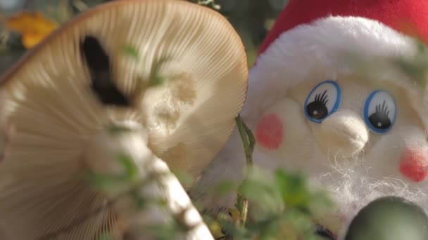 Um olhar mais atento do rosto da boneca gnomo elfo em Rovaniemi Finland.4k — Vídeo de Stock