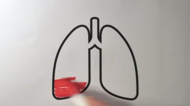 Ciğerler kırmızı kalemle dolduruluyor.