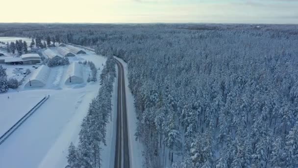 Piękny widok z powietrza ogrzewanych szklarni do uprawy warzyw w Finlandii. — Wideo stockowe