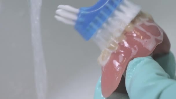 Closeup shot of cleaning dentures using a brush. — Stock Video