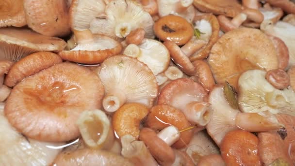 Ближче знайомство з нарізаними грибами в Еспоо Фінляндії. — стокове відео