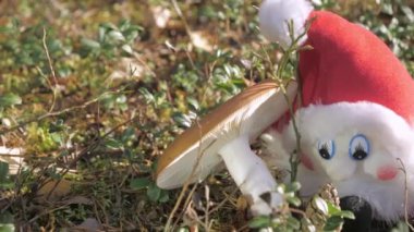 Rovaniemi Finlandiya 'da mantarın yanındaki cüce oyuncağı.