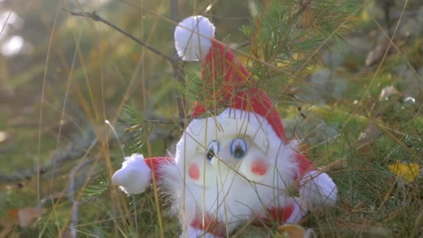 Гном, захоплений в пастку іграшкою на траві в Rovaniemi Finland.4k — стокове відео