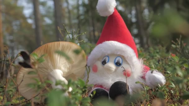 Der rote Hut der kleinen Elfenpuppe im finnischen Rovaniemi. — Stockvideo