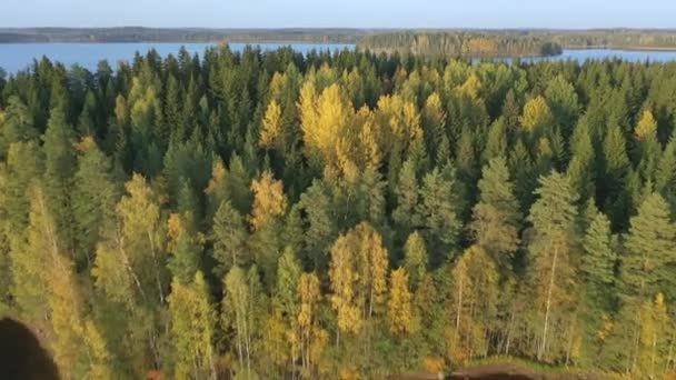 Letecký pohled na zelené stromy v jezeře Saimaa ve Finsku.geologie foceno.4k — Stock video
