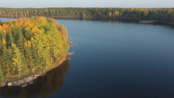 Ein genauerer Blick auf die Bäume bei Sonnenuntergang im Saimaa-See in Finnland. — Stockvideo