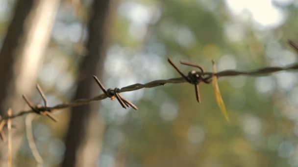 Bliższe spojrzenie na ostre krawędzie drutów kolczastych w Finlandii — Wideo stockowe