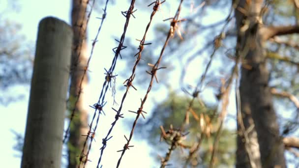 Wygląd drutów kolczastych ogrodzonych strzeżoną ziemią w Finlandii — Wideo stockowe