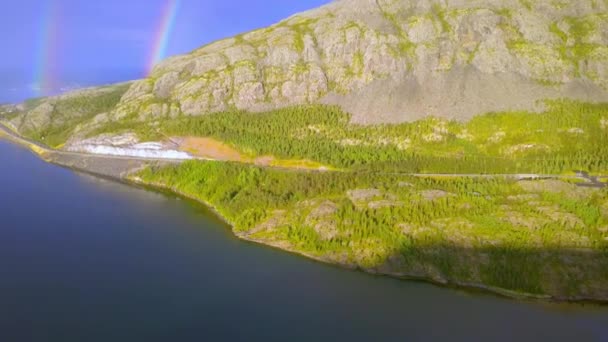 Zielone drzewa u podnóża góry w Norwegii — Wideo stockowe