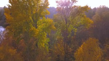 Finlandiya 'da sonbaharda gökyüzünde güneş batıyor