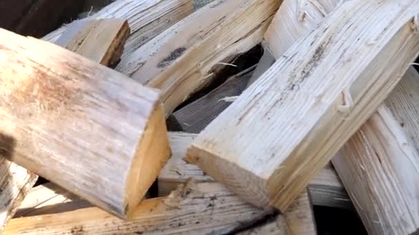 Regardez de plus près les bois de chauffage blancs hachés — Video