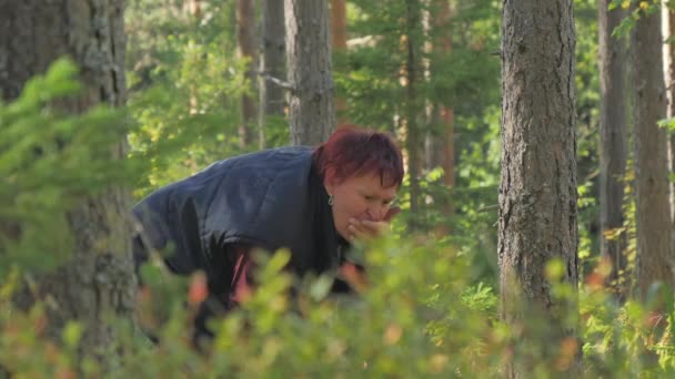 En medelålders dam som plockar blåbär i Esbo — Stockvideo