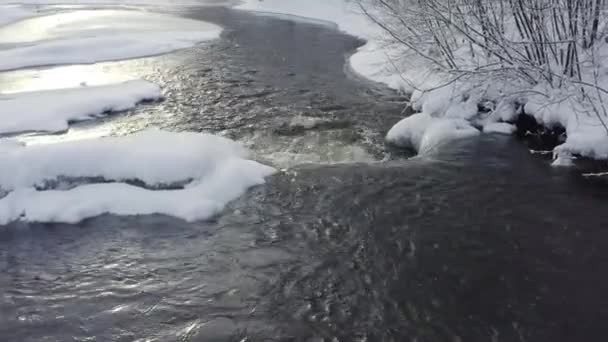 Das Wasser fließt auf dem Fluss im Wald — Stockvideo