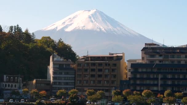 Les grands bâtiments sur le port du lac Kawaguchi au Japon — Video