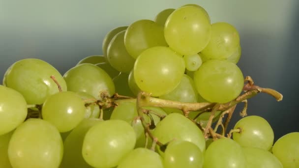 Tiro de perto de um ramo de uvas que gira. — Vídeo de Stock