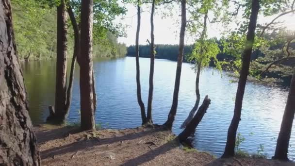 Espoo Finlandiya 'daki doğa rezervinin peyzaj görüntüsü — Stok video