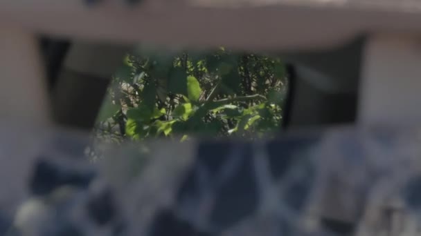 フロントガラスに突き刺さった車のクローズアップショット. — ストック動画