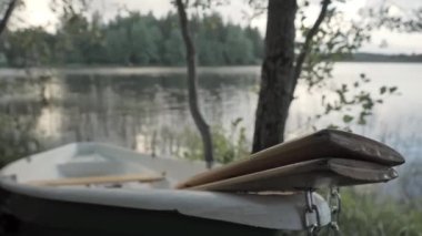 Finlandiya 'da Espoo gölündeki teknenin kenarındaki ağaçlar