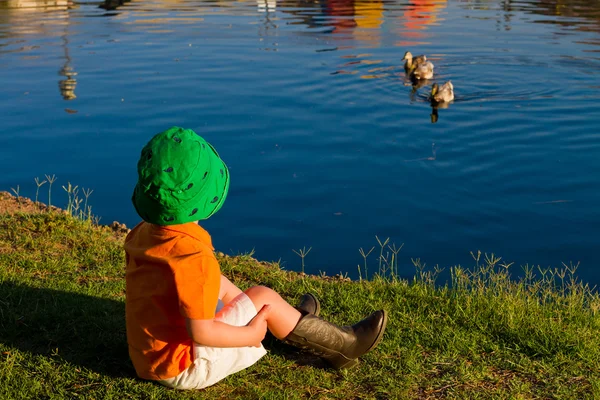 Garçon par un lac regarder canards — Photo