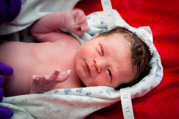 Newborn Head Measurements — Stock Photo, Image