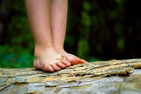 Dirty Feet Balancing On A Log