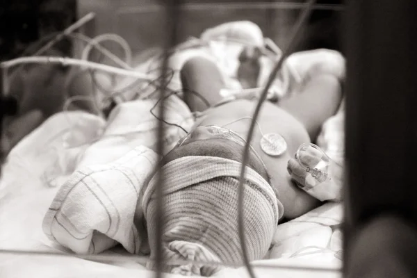 Neonato attraverso il vetro NICU — Foto Stock