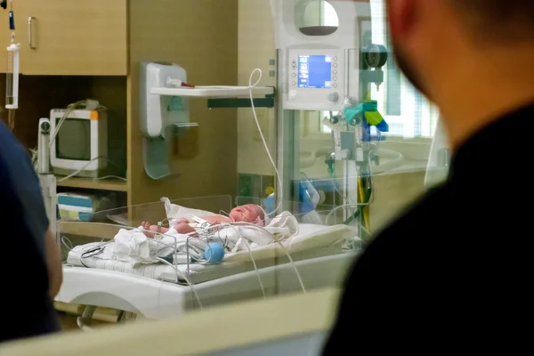 Pasgeboren Baby In de Nicu — Stockfoto