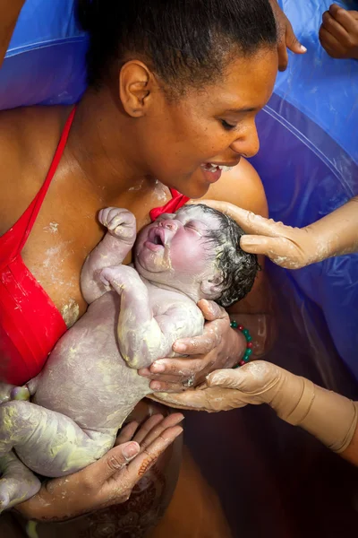 Celebrando um recém-nascido — Fotografia de Stock