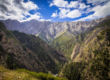 Dağ güneş bitki örtüsü ile kaplı vadiler.