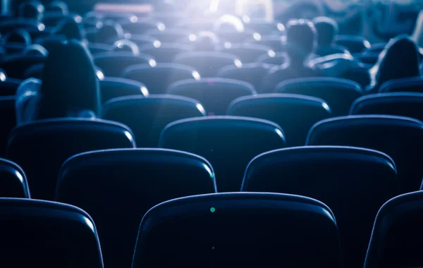 Sinema ya da tiyatro salonu, iş geçmişi.