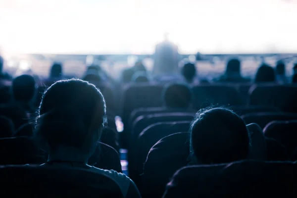 Sinema ya da tiyatro salonu, iş geçmişi.