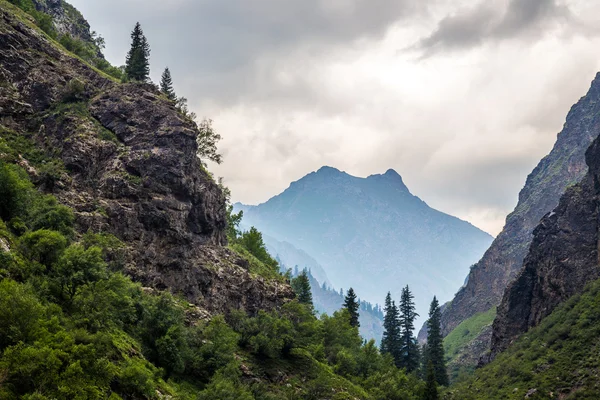 Bulutlarda bitki örtüsü ile kaplı dağ vadiler.