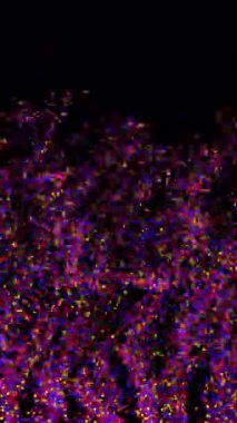 Titreşen renkli parçacık dizisi, soyut video arkaplanı.