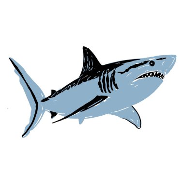Köpek balığının dinamik el yapımı, ağzı açık, dişlerini gösteren bir vektörü. Okyanus temaları, vahşi yaşam posterleri ve eğitici grafikler için mükemmel..
