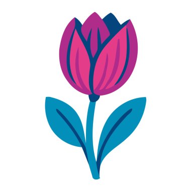 Düz mavi yapraklı pembe lale çiçeği. Bahar temaları, çiçek dekoru, botanik sanat eserleri ve neşeli doğa grafikleri için harika..