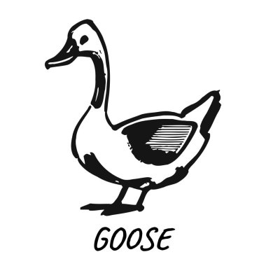 Cesur hatları ve minimalist tarzını barındıran bir kazın basit siyah-beyaz çizimi. Kaz pürüzsüz bir vücut ve temiz bir tasarım ile sola dönük tasvir edilir, klasik ve zamansız bir hissi çağrıştırır. 