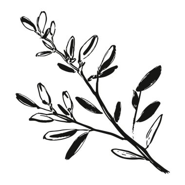 Zarif yeşillik ve narin yaprak desenleri içeren güzel çizilmiş siyah beyaz dallar. Basit ama çarpıcı olan bu minimalist tasarım botanik elementlerin doğal güzelliğini sergiliyor. Temiz çizgiler ve eğriler görsel bir uygulama oluşturur