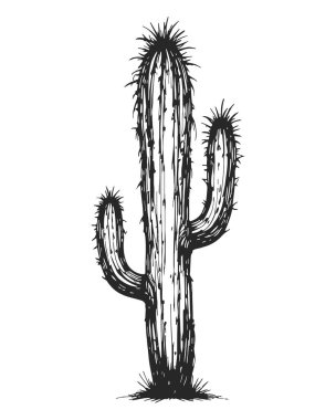 Çoklu dalları ve keskin dikenleri olan uzun bir kaktüs detaylı siyah beyaz bir resimde resmedilmiş. Dallar, çöl bitkisinin karakteristik özelliklerine sahip keskin, koruyucu dikenlerle süslenerek sulu bitkinin engebeli güzelliğini ön plana çıkarırlar. Hastalar.