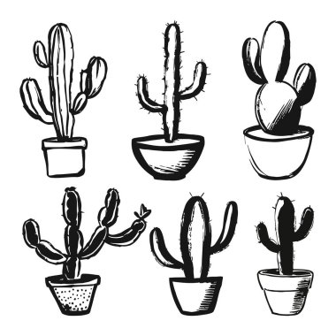 İki sıra halinde altı kaktüs, eşsiz şekil ve stil sergiliyor. Her kaktüsün farklı şekilli saplardan çeşitli demlik tasarımlarına kadar farklı karakteristik özellikleri vardır. Basit siyah beyaz çizimler bu çöl güzelliğinin altını çiziyor.