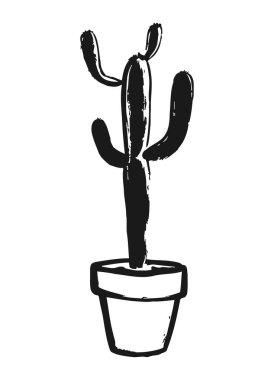 Çoklu saplı bir tencerede kaktüs ve basit siyah beyaz bir illüstrasyon. Saksıdaki kaktüsün daha küçük saplı ve yuvarlak uçlu, eşsiz sulu bir türü gösteren kalın bir sapı vardır. Minimalist sanat tarzı kaktüsün dokusuna odaklanır.