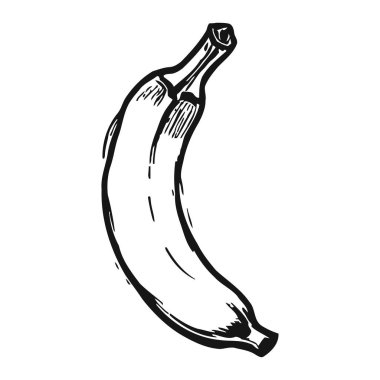 Beyaz zemin üzerinde taze taze bir muz meyvesinin basit siyah beyaz çizimi, kalın çizgiler ve gölgeleme teknikleriyle doğal dokusunu ve şeklini vurguluyor..