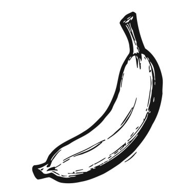 Tek bir muzun zarif tek renkli çizimi, kıvrımlı şeklini ve sapını gösteriyor. Basit ama etkili tasarım meyvenin doğal dokusunu ve güzelliğini ön plana çıkarır ve sağlıklı bir atıştırmalığın görsel olarak çekici bir temsili haline getirir..