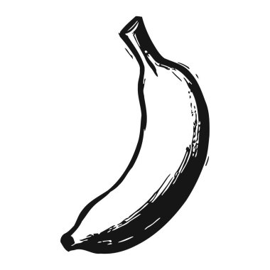 Siyah beyaz çizim tarzında tek bir muz meyvesi detaylı doku ve gölgeleme efekti sergiliyor. Muz kıvrımlıdır, üst kısmı gövdesi, alt kısmı ise organik ve sağlıklı özelliklerini ön plana çıkarır. Basit ama zarif bir tasvir.
