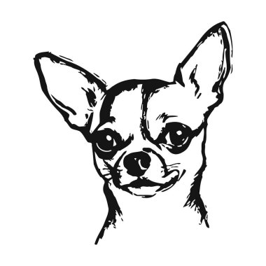 Cesur siyah çizgileri ve basit ama anlamlı yüz hatları olan Chihuahua köpek portresi. Köpek severler ve köpek sahipleri için detaylı sanat eserleri, küçük bir köpek cinsi, bir grafik tasarımı içinde köpek cazibesi ve kişiliğinin özünü yakalamak