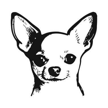 Bir chihuahua 'nın yüzü, renkli kulaklarını ve anlamlı yüz hatlarını gözler önüne seren siyah-beyaz bir çizim. Basit ama sanatsal bir tasarım. Köpeğin samimi ve sadık kişiliğini yakalıyor. Büyüleyici ve sevimli bir portre haline getiriyor.