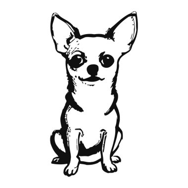Büyük gözleri ve ayakta duran kulakları olan bir chihuahua köpeğinin basit siyah beyaz çizimi. Köpek oturuyor ve şirin bir ifadeyle doğrudan izleyiciye bakıyor. İllüzyon minimalist bir tarzda, kalın çizgiler ve basit gölgeleme ile yapılır. Arkaplan